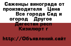 Саженцы винограда от производителя › Цена ­ 800 - Все города Сад и огород » Другое   . Дагестан респ.,Кизилюрт г.